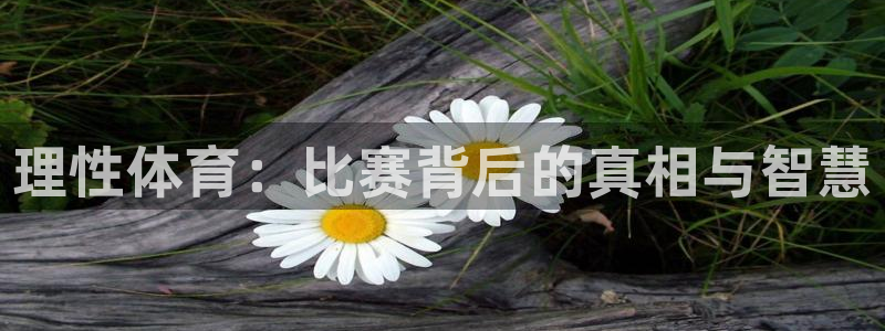看球体育app下载安装
