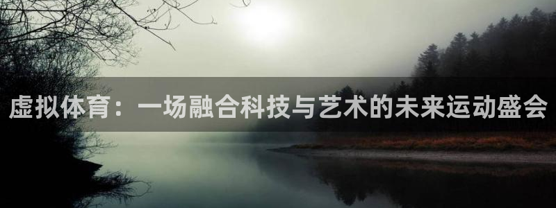 看球体育科技有限公司