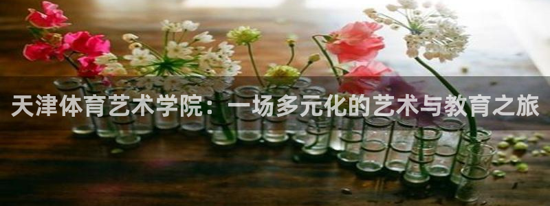 看球体育足球直播：天津体育艺术学院：一场多元化的艺术与教育之旅