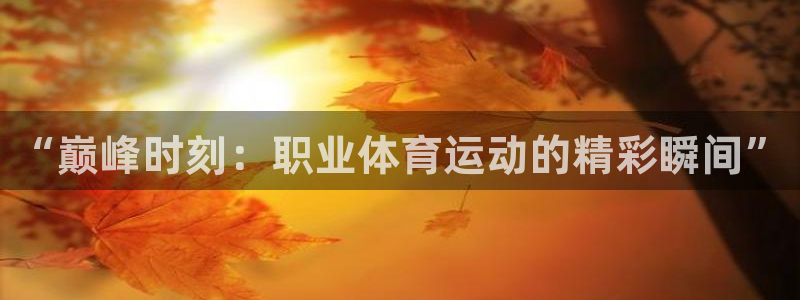 看球体育科技有限公司：“巅峰时刻：职业体育运动的精彩瞬间”