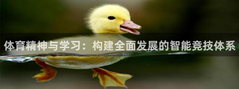 看球体育高清直播在线观看