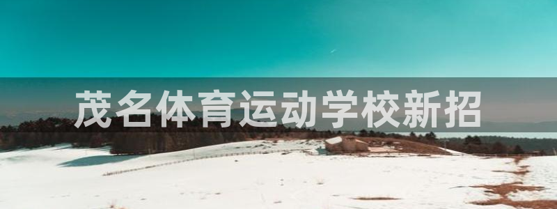看球体育通直播app下载