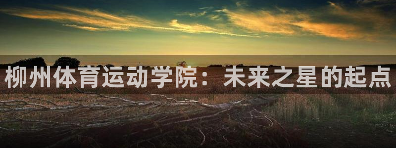 看球体育高清直播在线观看