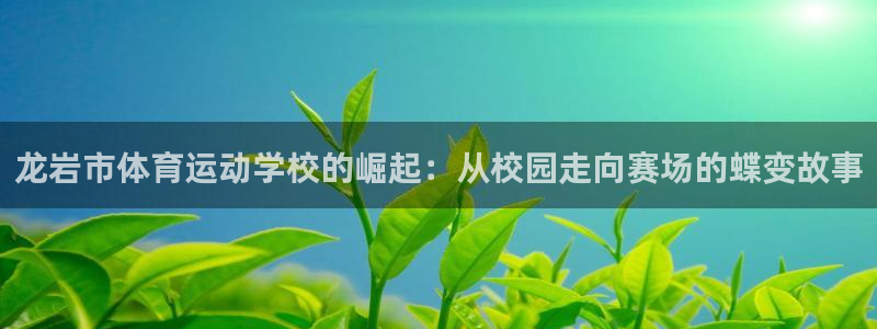看球体育科技有限公司