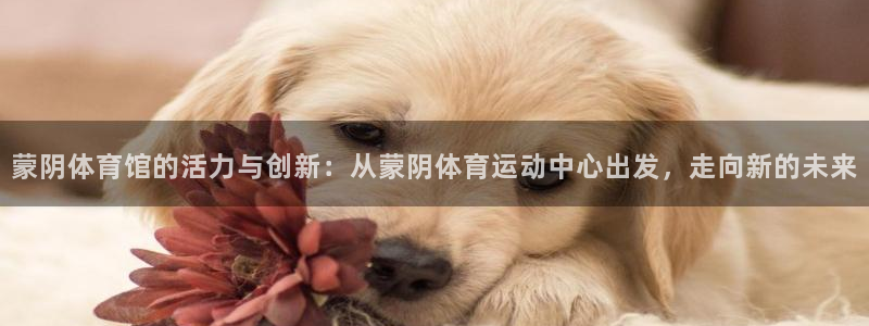 看球体育APP官方免费下载