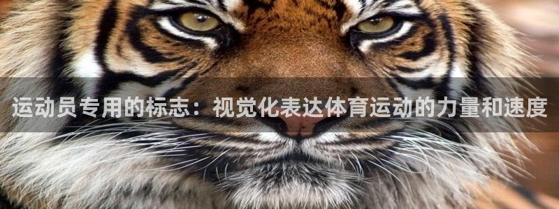 看球体育平台：运动员专用的标志：视觉化表达体育运动的力量和速度